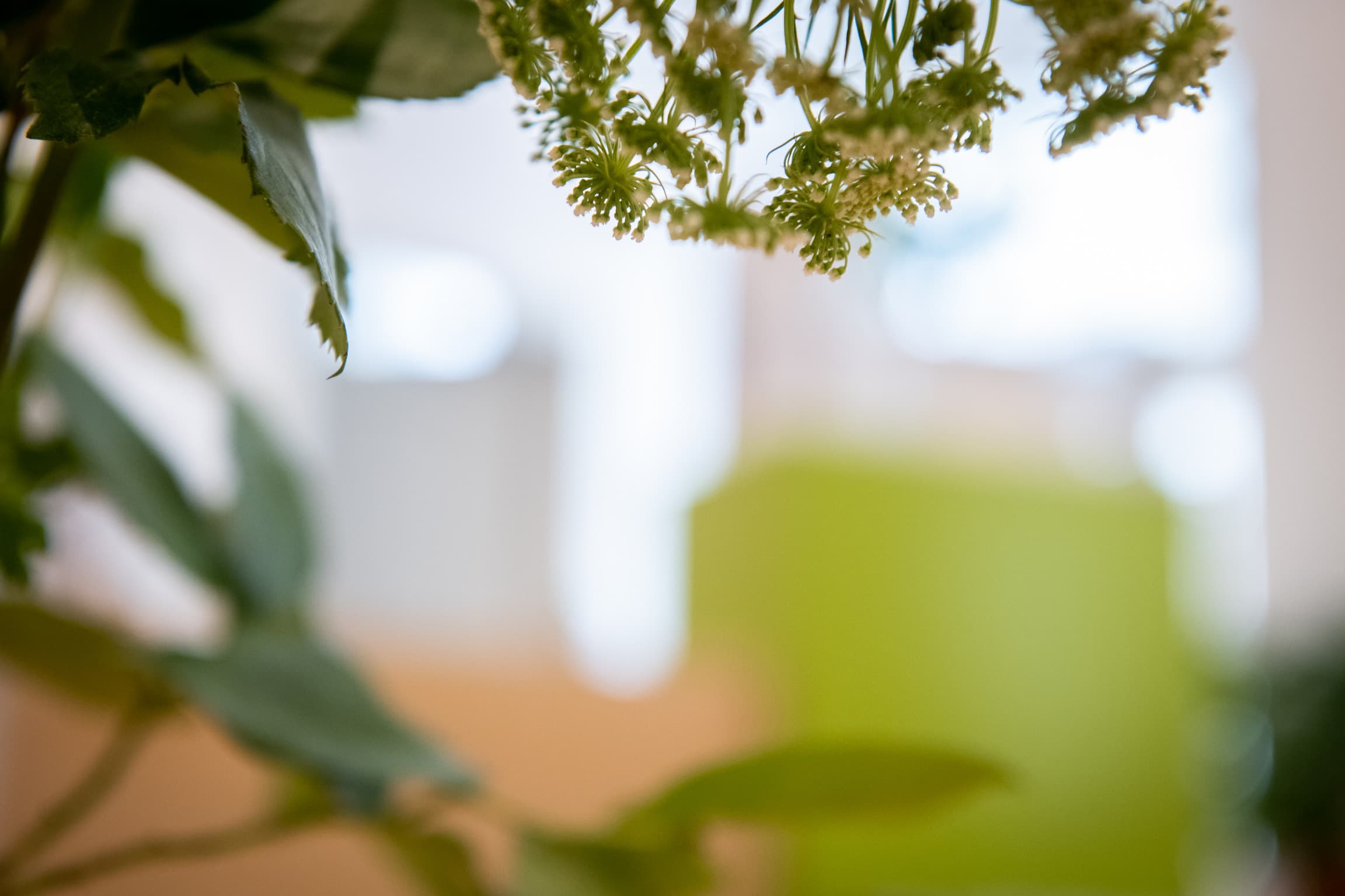 Atmosphäre im Naturkosmetikstudio Samt & Seide